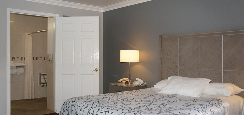 We offer 1 or 2 queen beds for accessibility. This photo shows our 1 queen bed with access to restroom with roll in shower and drop down seat.