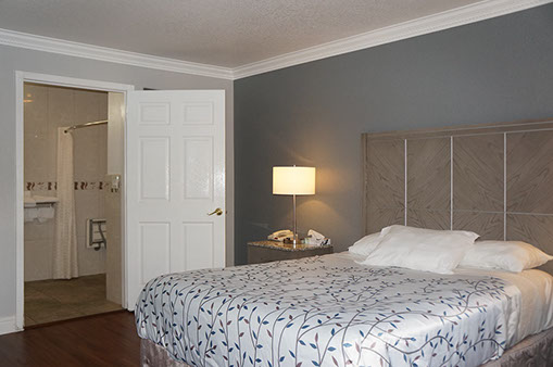 We offer 1 or 2 queen beds for accessibility. This photo shows our 1 queen bed with access to restroom with roll in shower and drop down seat.