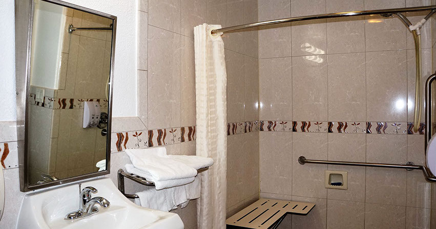 Queen Room showing one of our accessible showers. All queen rooms are not accessible.