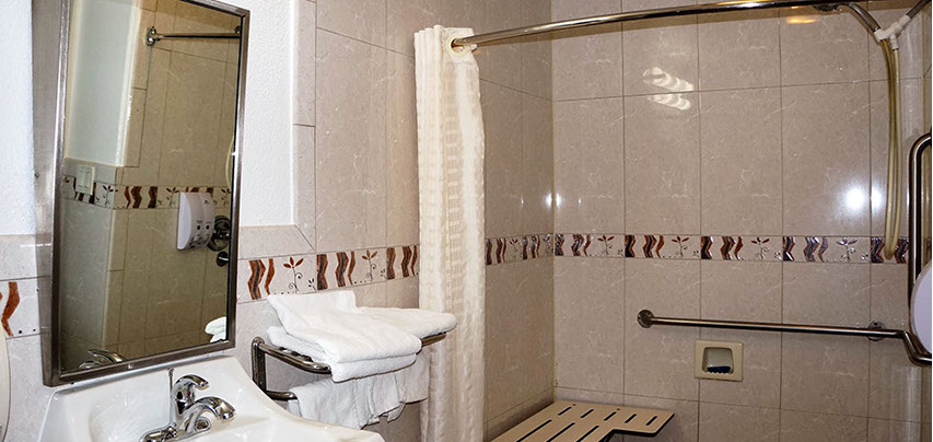 Showing rest room with accessible roll in shower and drop down seat. 