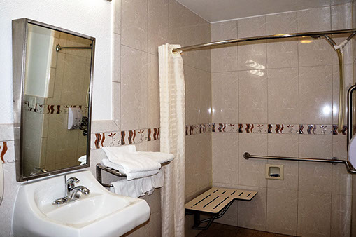 Showing rest room with accessible roll in shower and drop down seat. 
